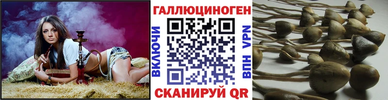 Купить закладки  Слободской  Галлюциногенные грибы мицелий 